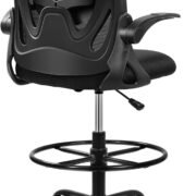 Office Chair Primy Ergonomic Desk Chair with Adjustable Lumbar Support